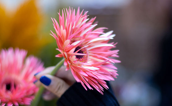 スリフトの生花