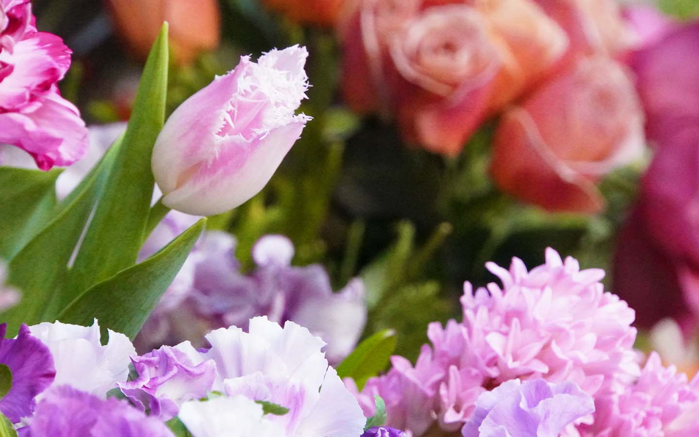 スリフト出張花屋船橋