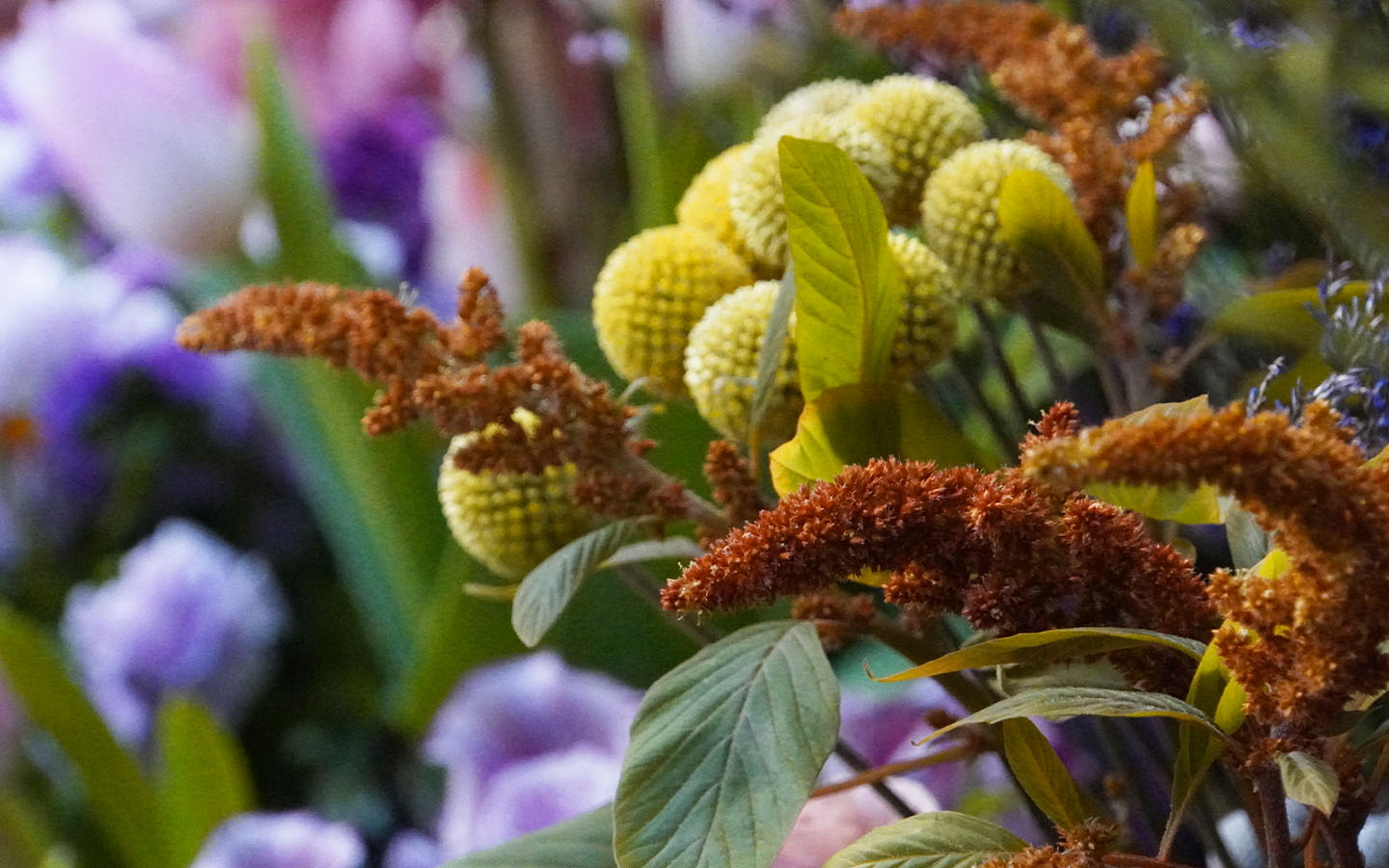 スリフト出張花屋松戸